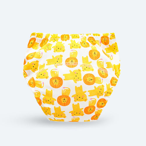 Potty Training Pants Pack of 5