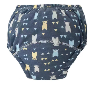 Potty Training Pants