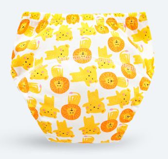 Potty Training Pants
