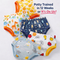 Potty Training Pants