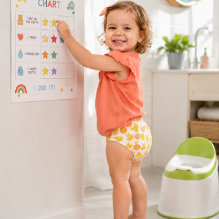 Potty Training Pants