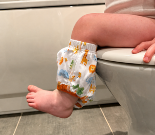 Potty Training Pants